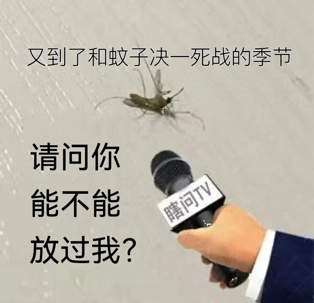 确诊超3600例！无疫苗无特效药，患者：最难受的是关节痛